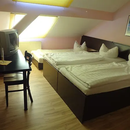 Amy Regensburg