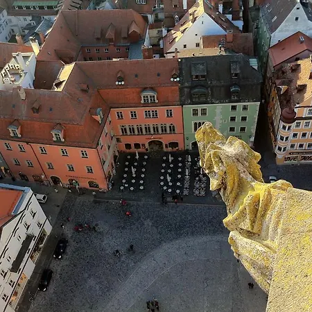 Amy Regensburg