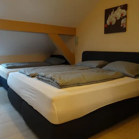 Amy Otel Regensburg